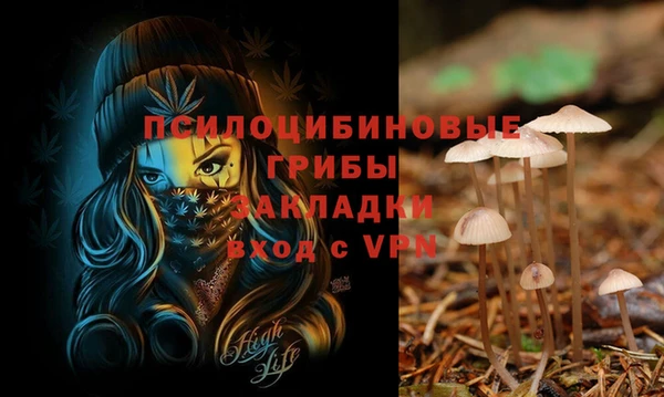 кокаин Инсар