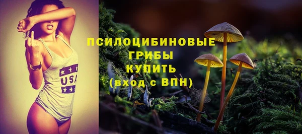 твердый Иннополис